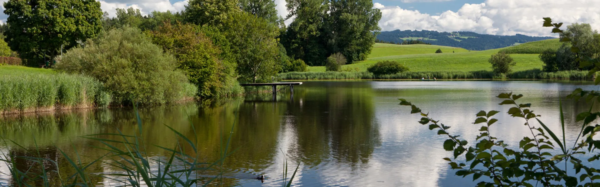 Neuravensburger Weiher mit Blick auf den Badesteg