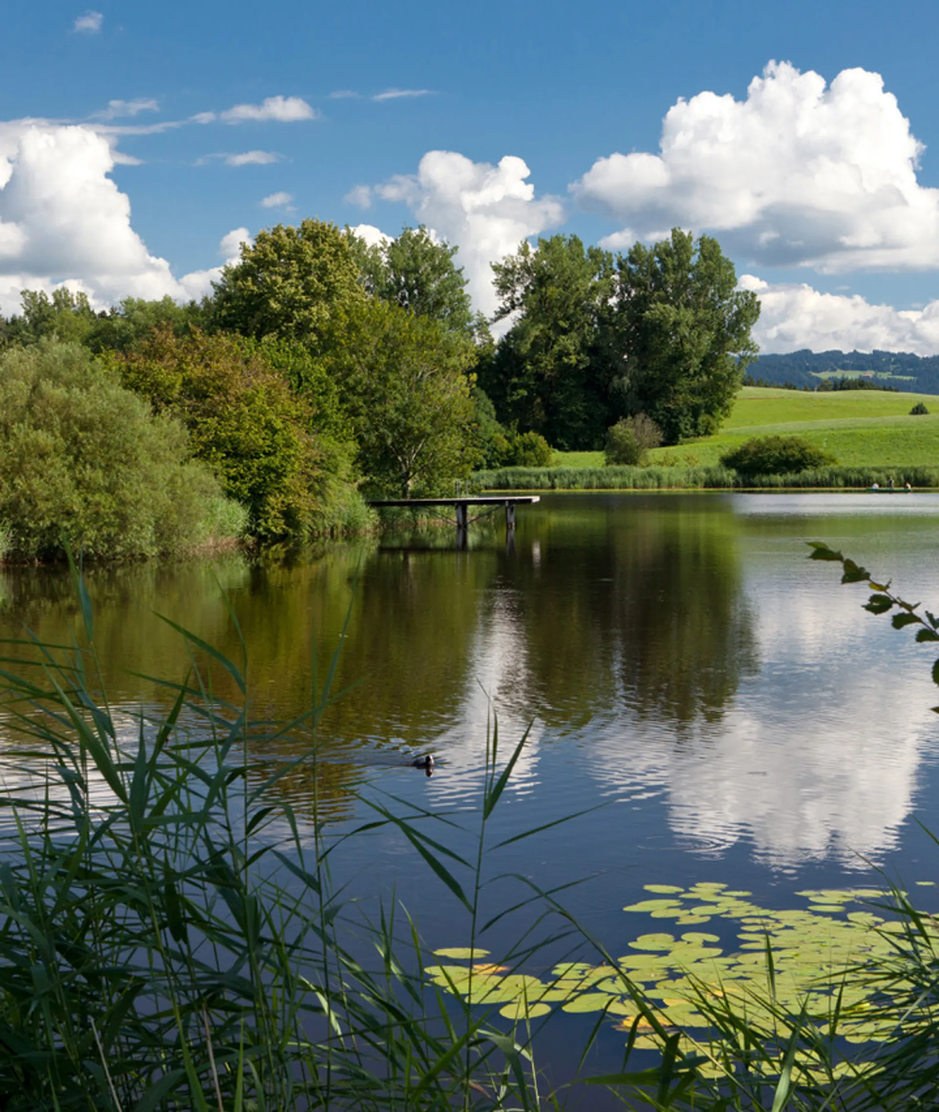 Neuravensburger Weiher mit Blick auf den Badesteg